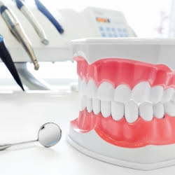 Times Dental Services